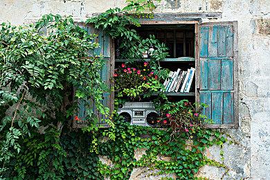 光速辟谣！ Xenia官方否认与微软合作“Xbox经典游戏计划